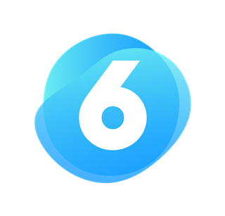 Shopware 6 Logo